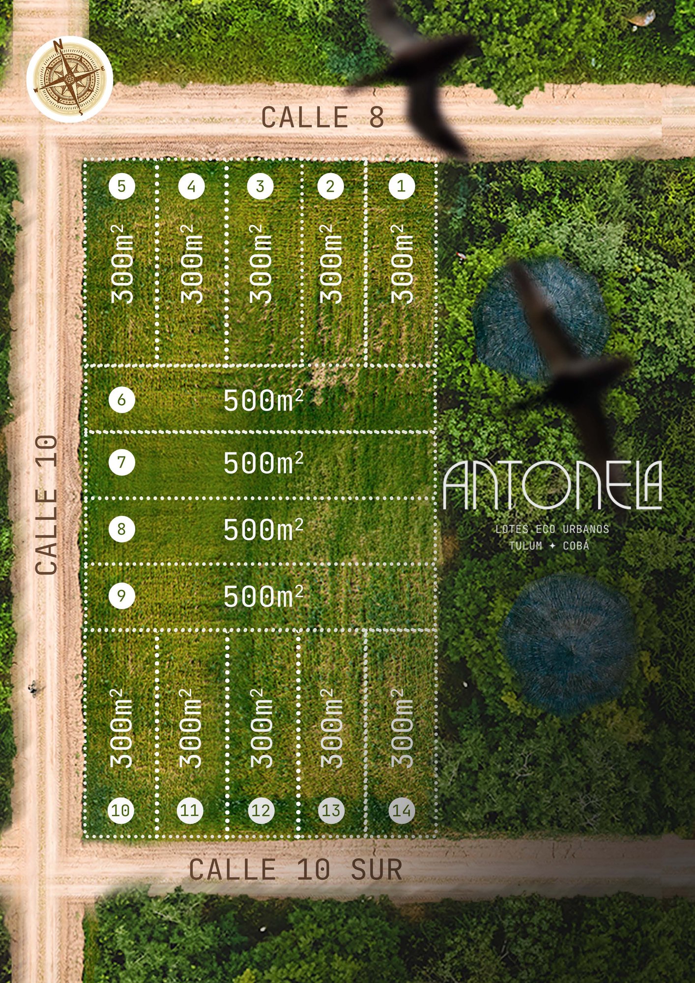 masterplan antonela tulum