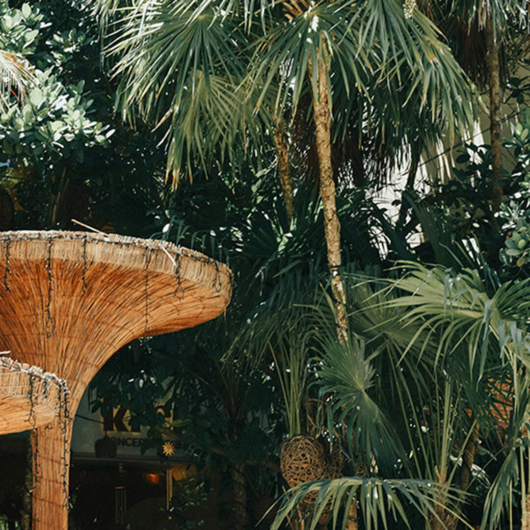 nahima-aparicio-LFYvp5ODWfU-unsplash-1